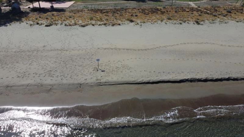 Doğu Akdeniz sahilleri anaç deniz kaplumbağaları için hazırlandı