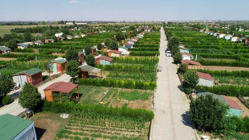 Salgın sürecinin stresini Meram Belediyesi Hobi Bahçelerinde atıyorlar
