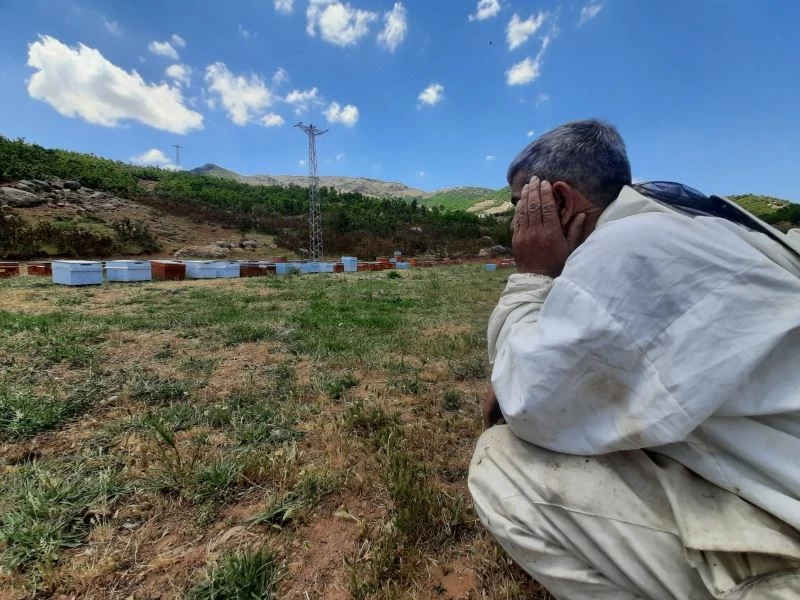 Bal şehri Bingöl’de kuraklık arıcıları da vurdu, dünya ikincisi bal tehlikeye girdi

