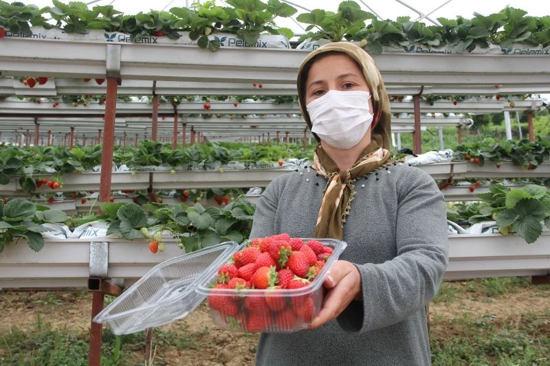 Yılın mikro girişimcisi Sinoplu Alime
