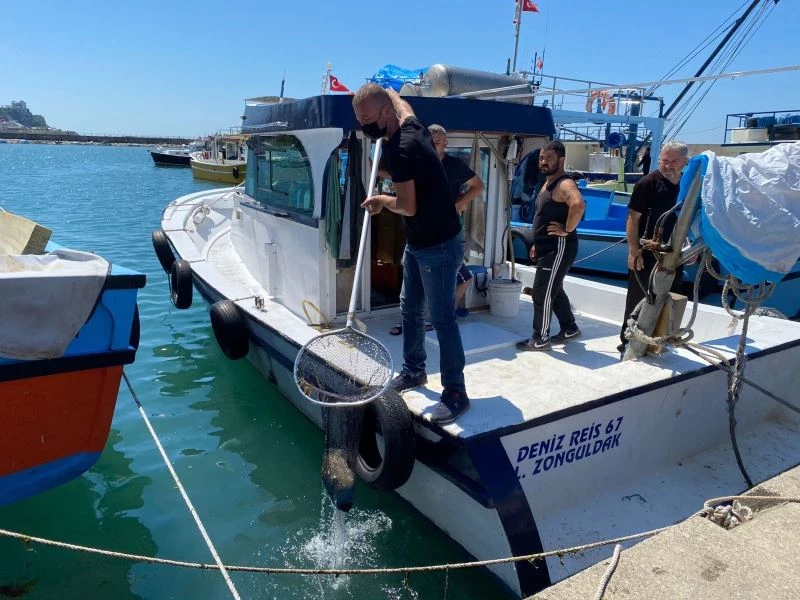 Çevre günü nedeniyle denize daldılar, çıkardıkları şaşkına çevirdi
