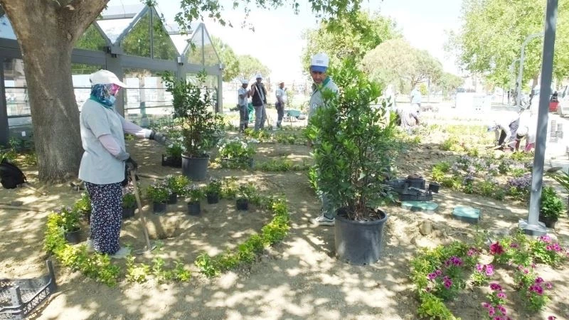 Burhaniye’de parklar çiçek kokacak
