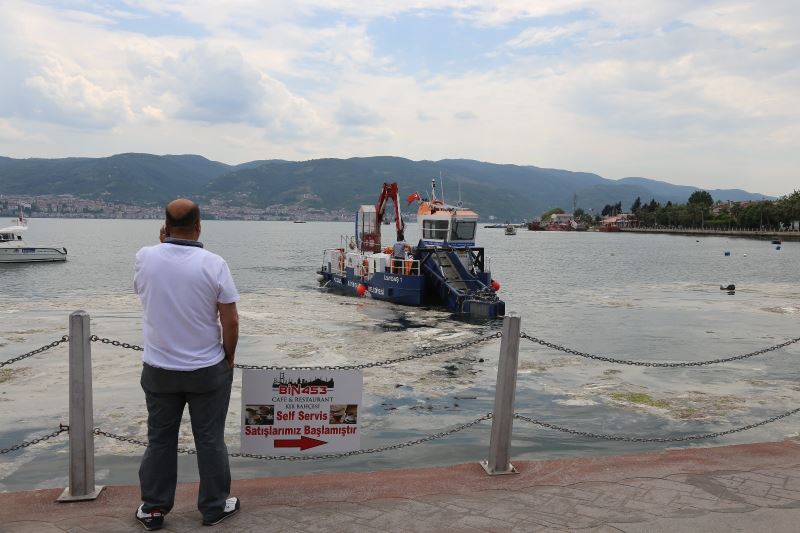 İzmit Körfezi’nde deniz salyası seferberliği
