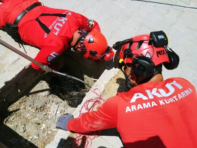 Rögara düşen yavru kediyi Kuşadası AKUT ekibi kurtardı
