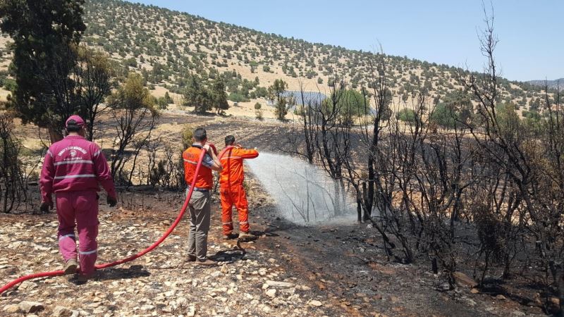 Antalya’da arazi yangınında 60 dekar ekili alan zarar gördü
