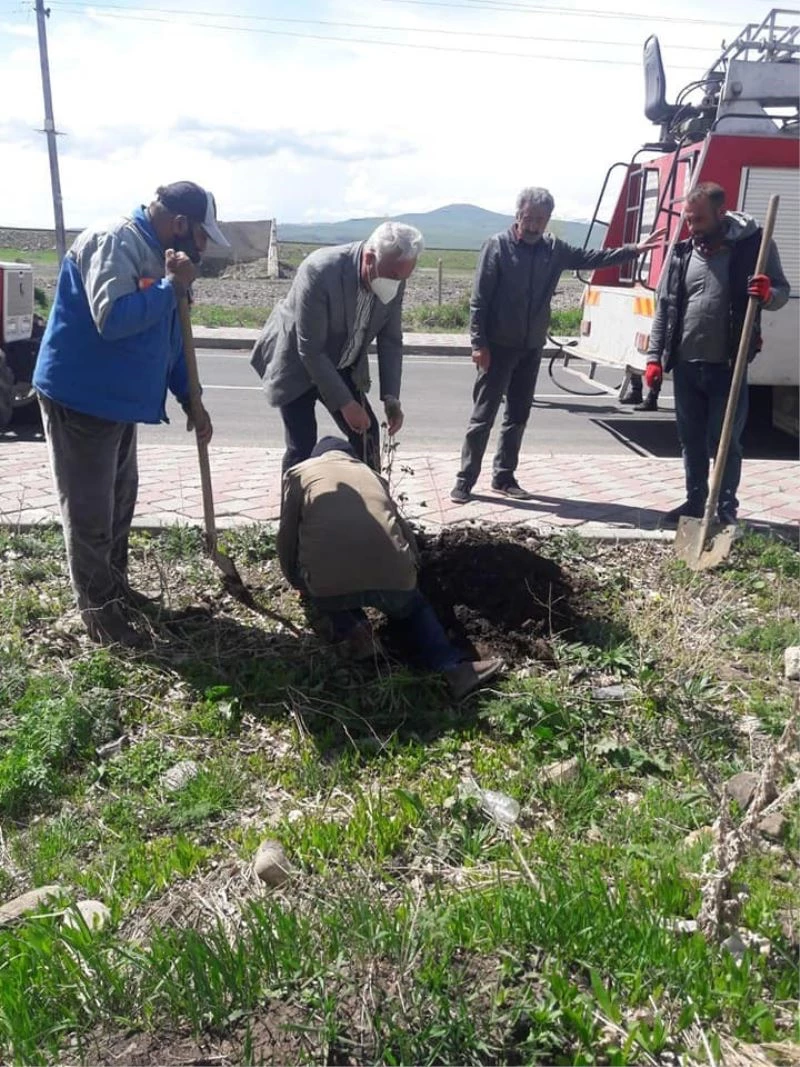 Arpaçay’da fidan dikimi sürüyor
