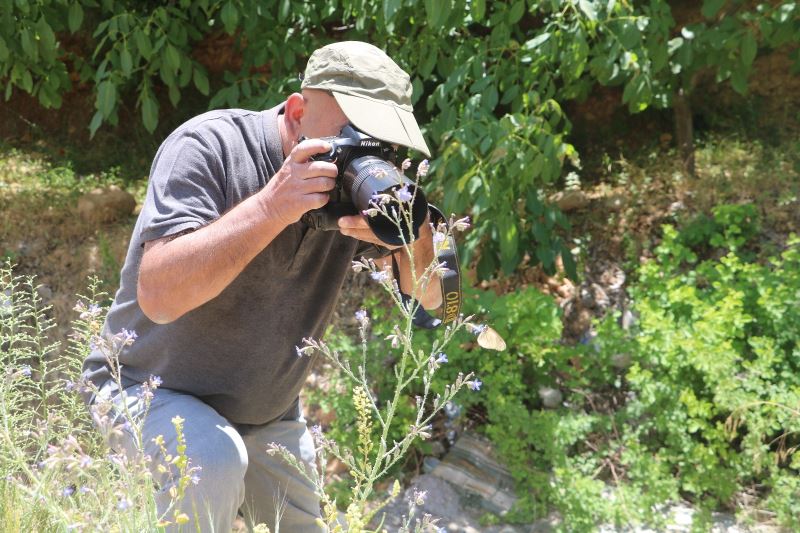 Adım adım gezdiği doğada 150 tür kelebeği fotoğraflamayı başardı
