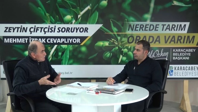 Zeytinde yaz takvimi, zeytin üreticilerine katkı sağlayacak
