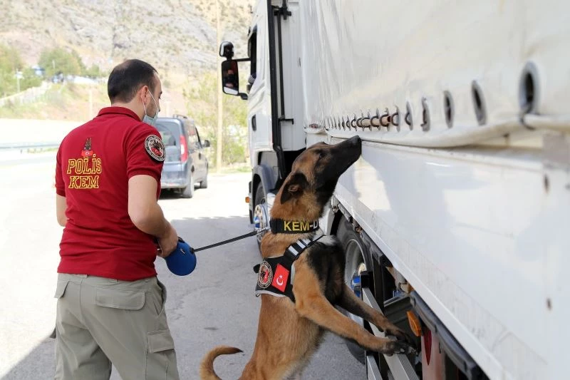 Doğu illerinden Karadeniz’e uyuşturucunun geçişine ’Alex’ engeli
