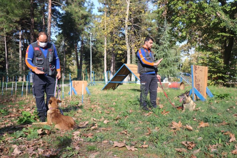 Afetlerde görev alacak altın burunlu köpekler Sakarya’da seçilecek
