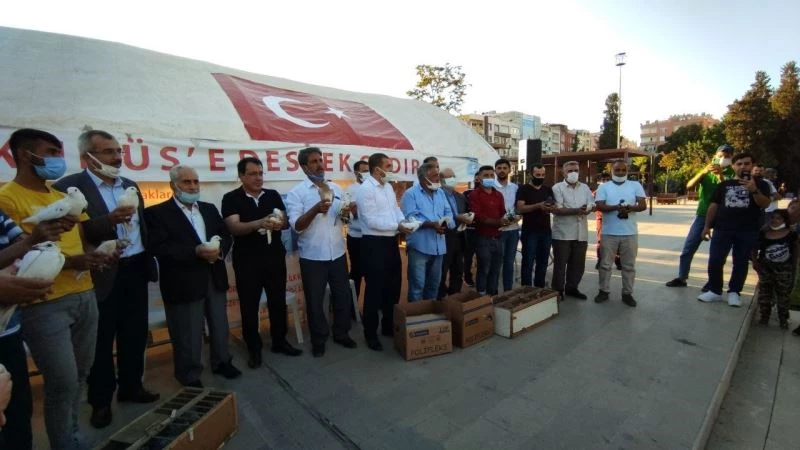 Güvercinler Filistin şehitleri için gökyüzüne salındı
