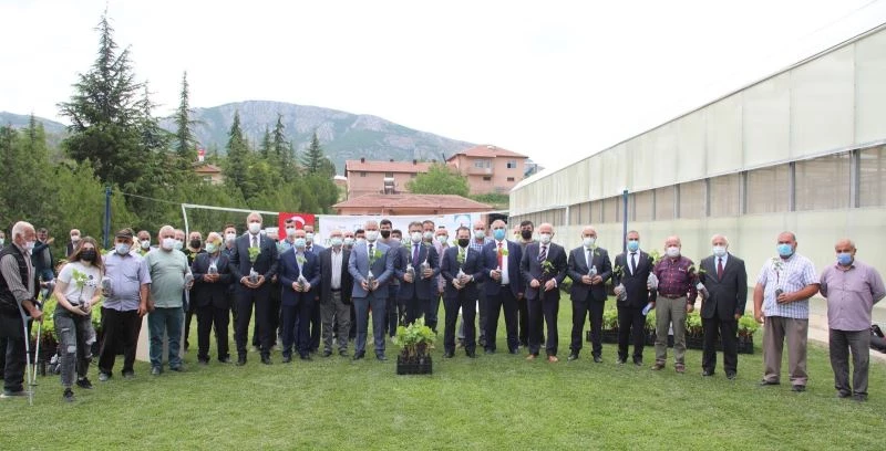 Tokat’ta 60 bin tüplü asma fidanı dağıtıldı
