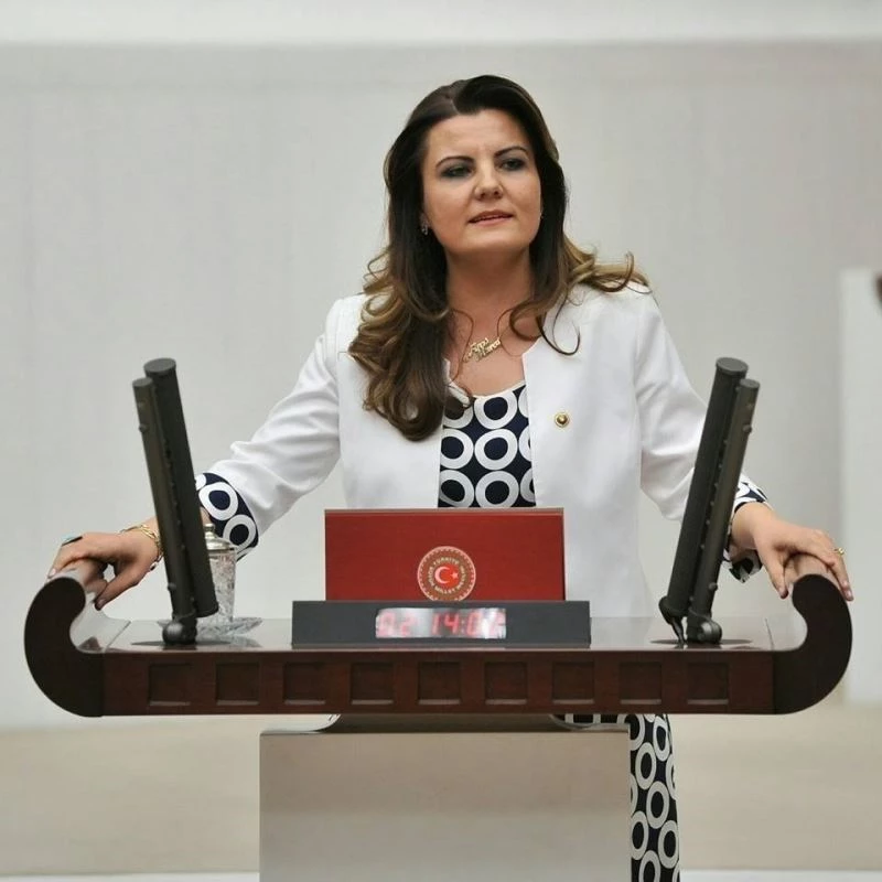 Başkan Hürriyet, deniz salyasıyla ilgili 2016’da uyarmıştı
