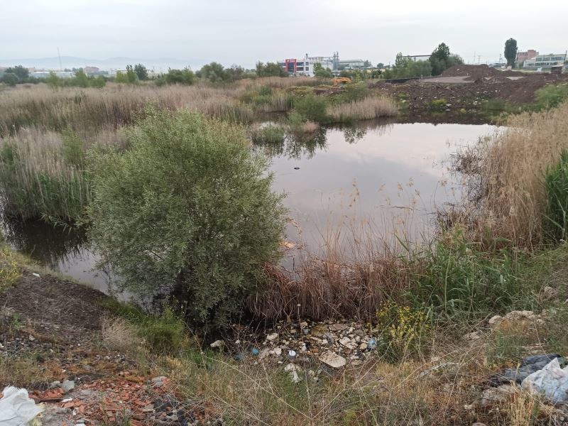 Ankara’da tabelaya çarpan otomobil dereye uçtu: 3 ölü, 1 yaralı
