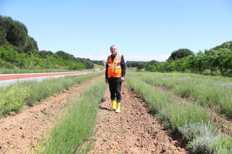 Botanik Vadisinde Susam Ve Çörek Otu toprakla buluştu
