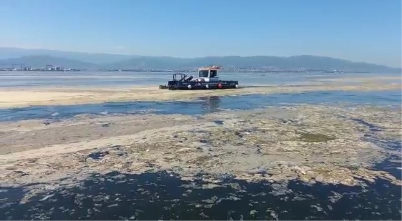 İzmit Körfezi’nde deniz salyası ile mücadele devam ediyor
