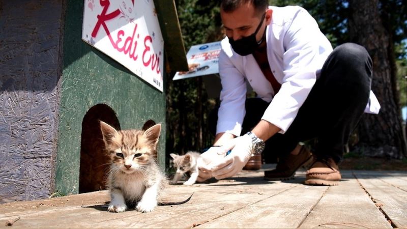 Canik can dostlarına sahip çıkıyor
