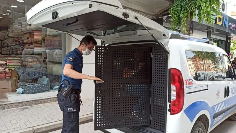 Kadın esnaf hırsızlık zanlısını yakaladı
