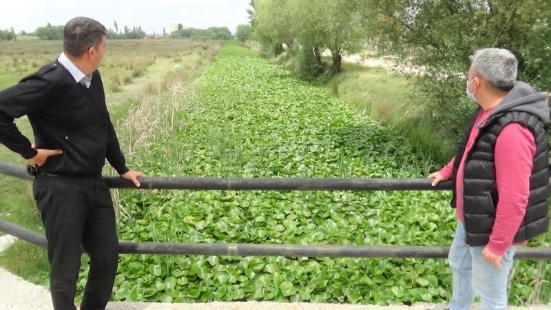 (ÖZEL) Nilüfer Vadisi turizme kazandırılmayı bekliyor
