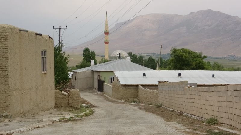 Van’da bir mahallenin başı bit ve pirelerle dertte
