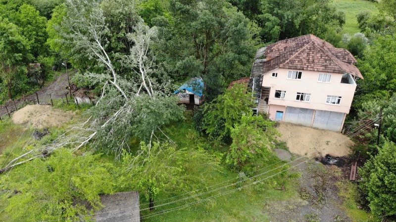 Kardeşlerin fıkra gibi arazi kavgası
