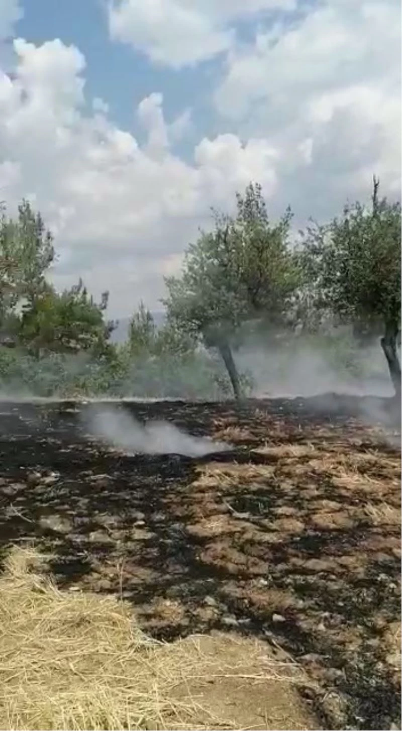 Acıpayam’da orman yangını çıktı
