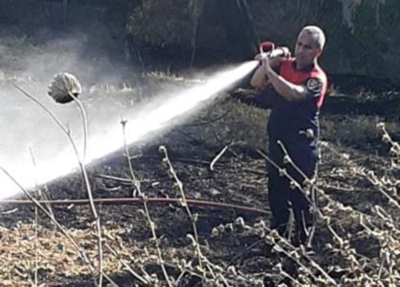 Ateş savaşçılarının hızlı müdahalesi, zeytin ağaçlarını korudu
