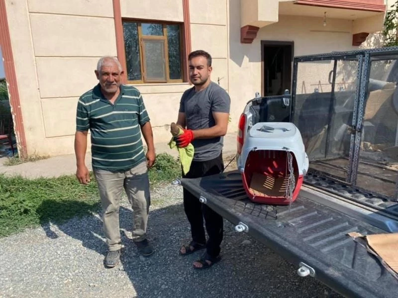 Kerkenez kuşu tedavi altına alındı
