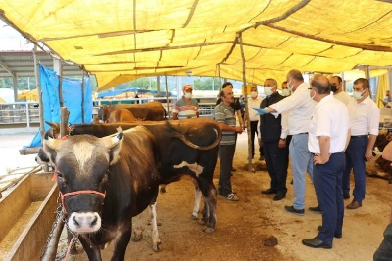 Kurbanlık alacaklara uyarılar
