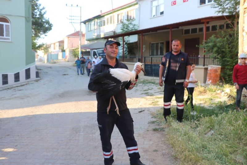 Yuvasından düşen yavru leyleği itfaiye kurtardı
