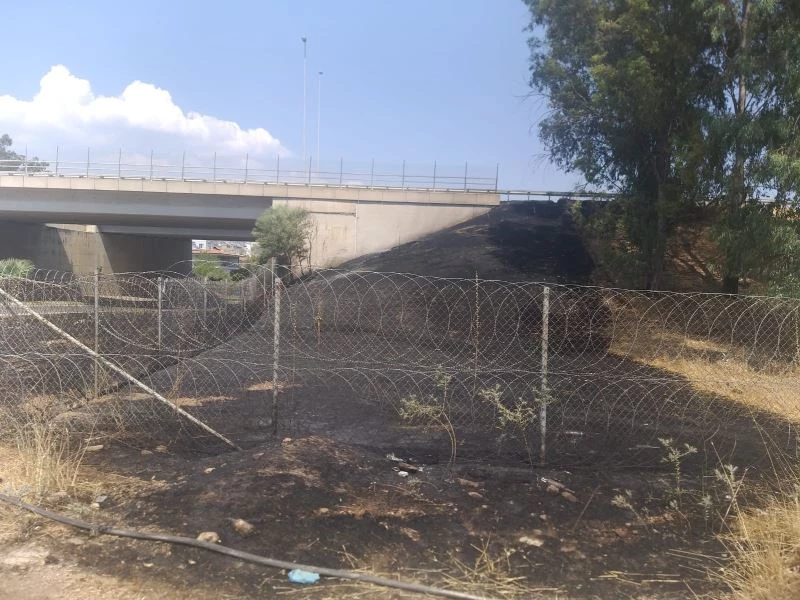 Araç içinden atılan izmarit yangına sebep oldu
