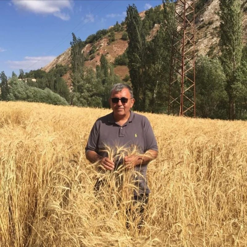 Ata tohumlar yüz güldürecek
