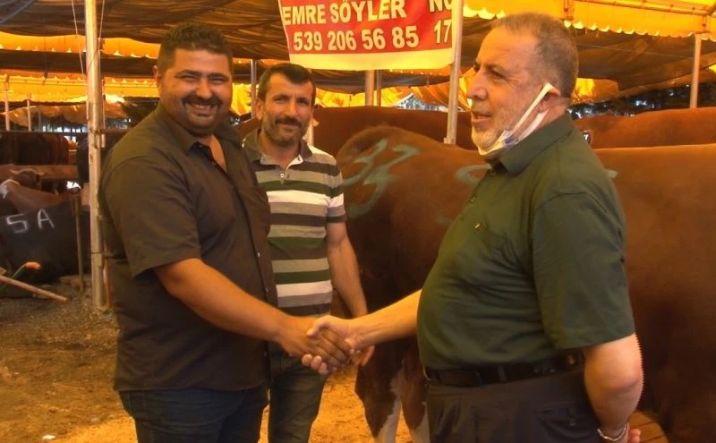 Aşılanma hızlandı, kurban pazarlarında tokalaşma geri geldi
