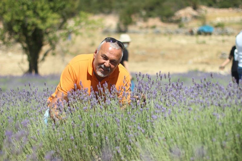 Gülnar’da lavanta üretimi artıyor
