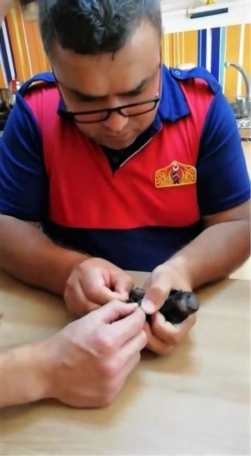 Çatıda ipe takılan ebabil kuşunu itfaiye ekipleri kurtardı
