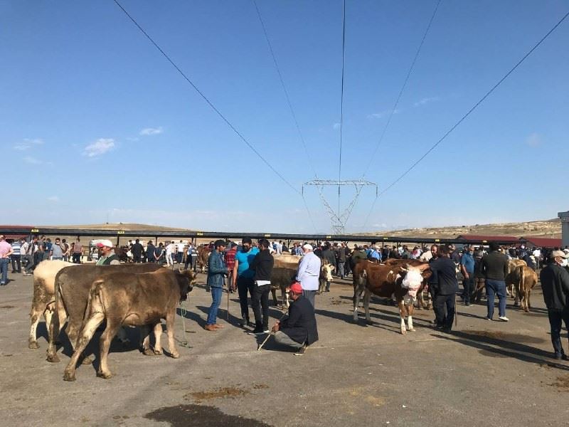 Bayburt’ta kurban pazarında haraketlilik arttı
