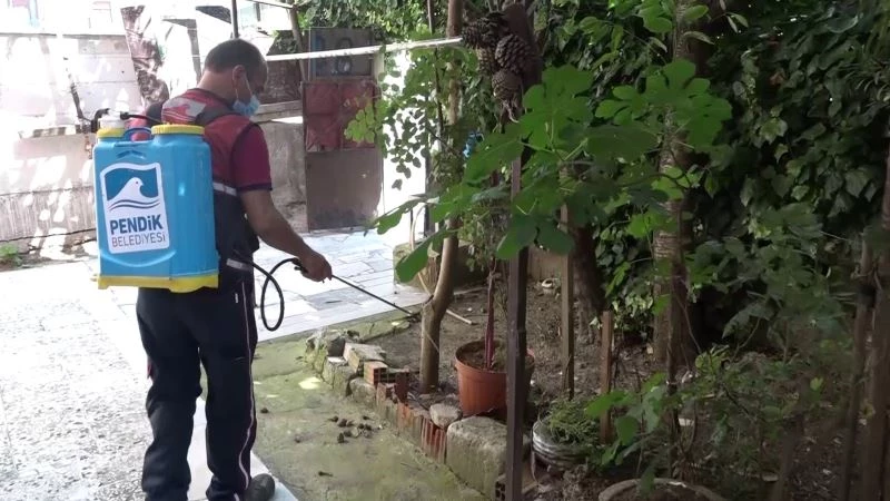 Pendik’te sivrisinek avcıları havadan görüntülendi
