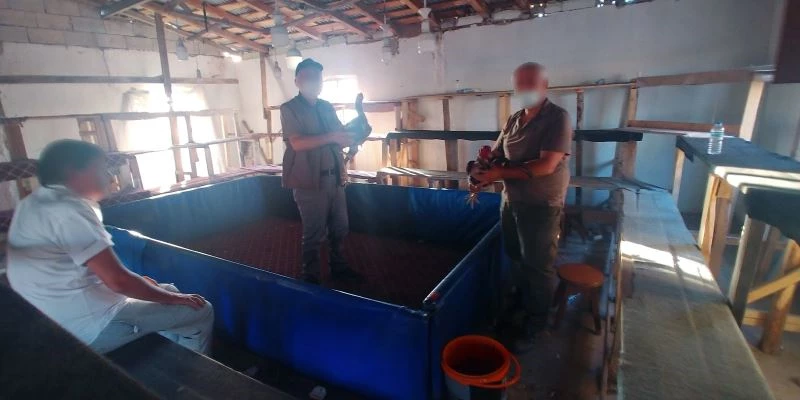 Horoz dövüştüren şahsa 26 bin 55 TL ceza
