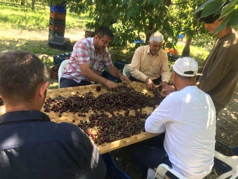  Hasadın tek eğlencesi radyo dinlemek
