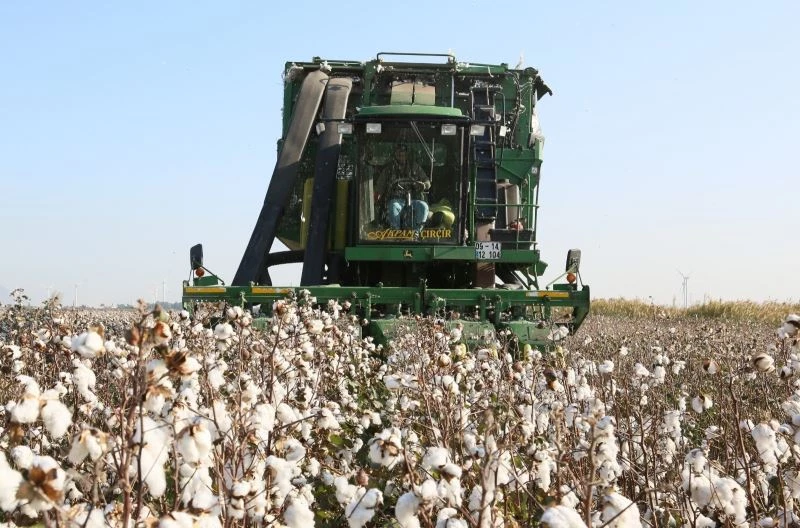İl Tarım ve Orman Müdürü Ökdem; “Söke’de organik pamukla ilgili olumsuzluk yok”
