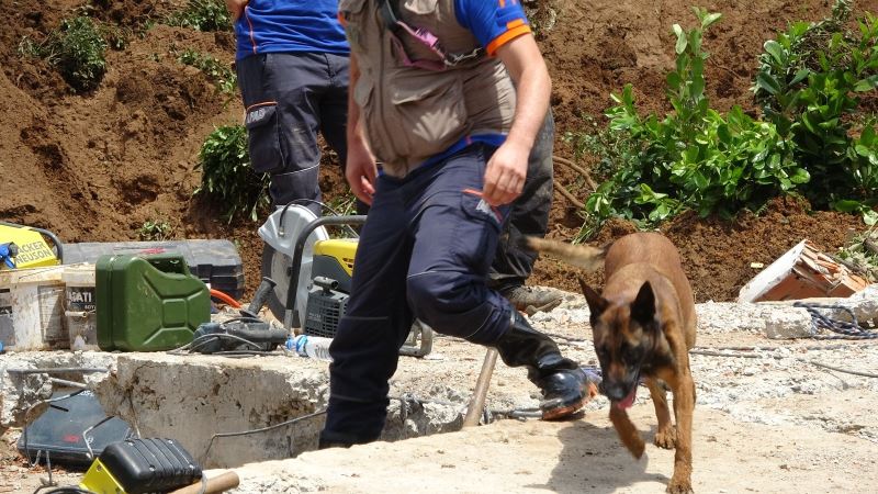Rize’de yıkılan binadaki arama kurtarma çalışmalarına Kito ve Abrek de destek veriyor
