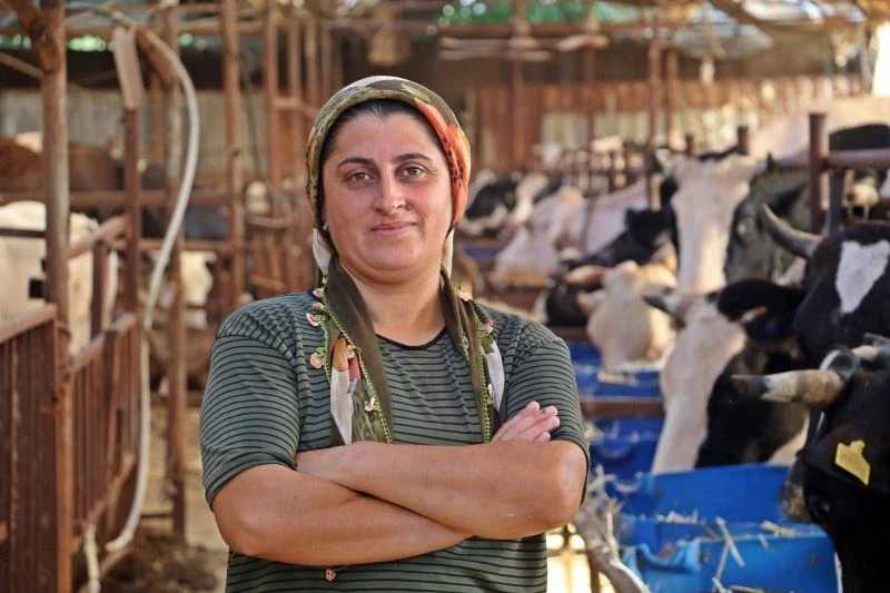 ‘Yapamazsın’ diyenlere inat 4 bilezikle hayvancılık işine girdi, milyonluk servet sahibi oldu
