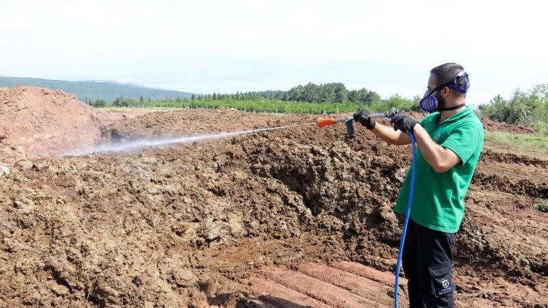 Kurban pazar yerleri ilaçlanıyor
