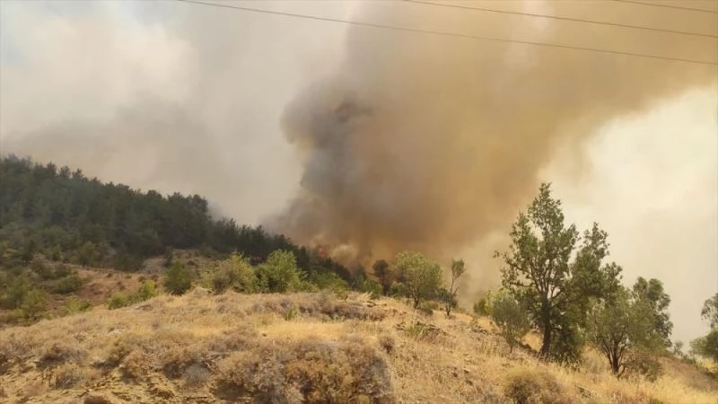 Tarım ve Orman Bakanı Bekir Pakdemirli: 