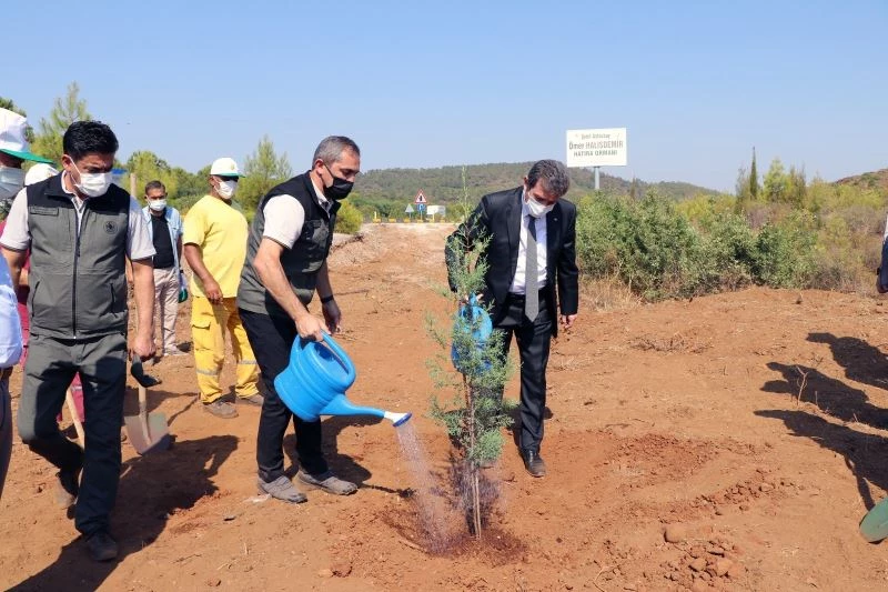 15 Temmuz kahramanı Halisdemir ormanına fidan dikimi
