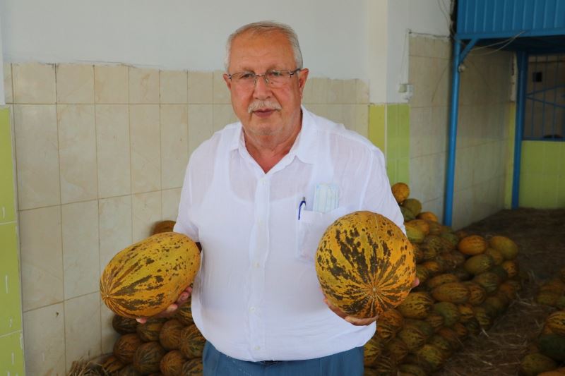 Kurban Bayramı öncesinde sebze ve meyveye zam yok
