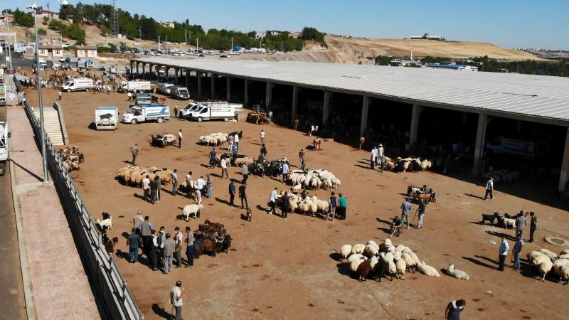 Diyarbakır Hayvan Borsasında beklenen hareketlilik yaşanmıyor
