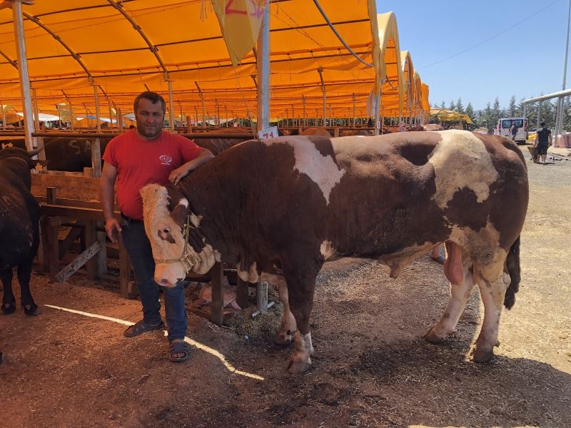 ‘Şampiyon’ alıcısını bekliyor
