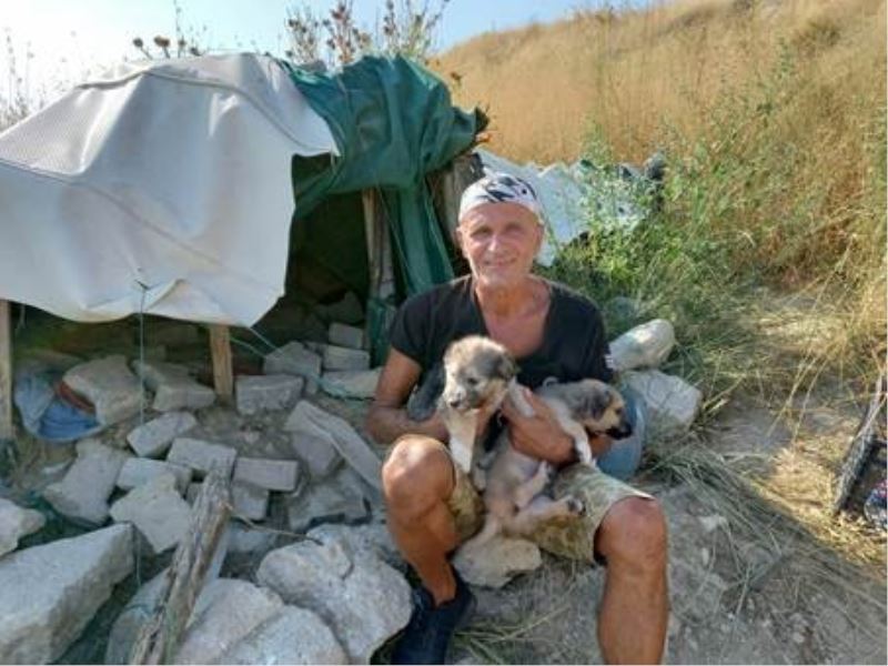 Sokağa atılmış köpekleri besleyip büyütüp sahiplendiriyor
