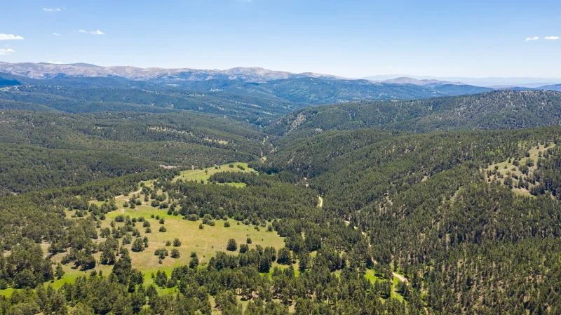 Çat Ormanları sıcak havalarda nefes aldırıyor
